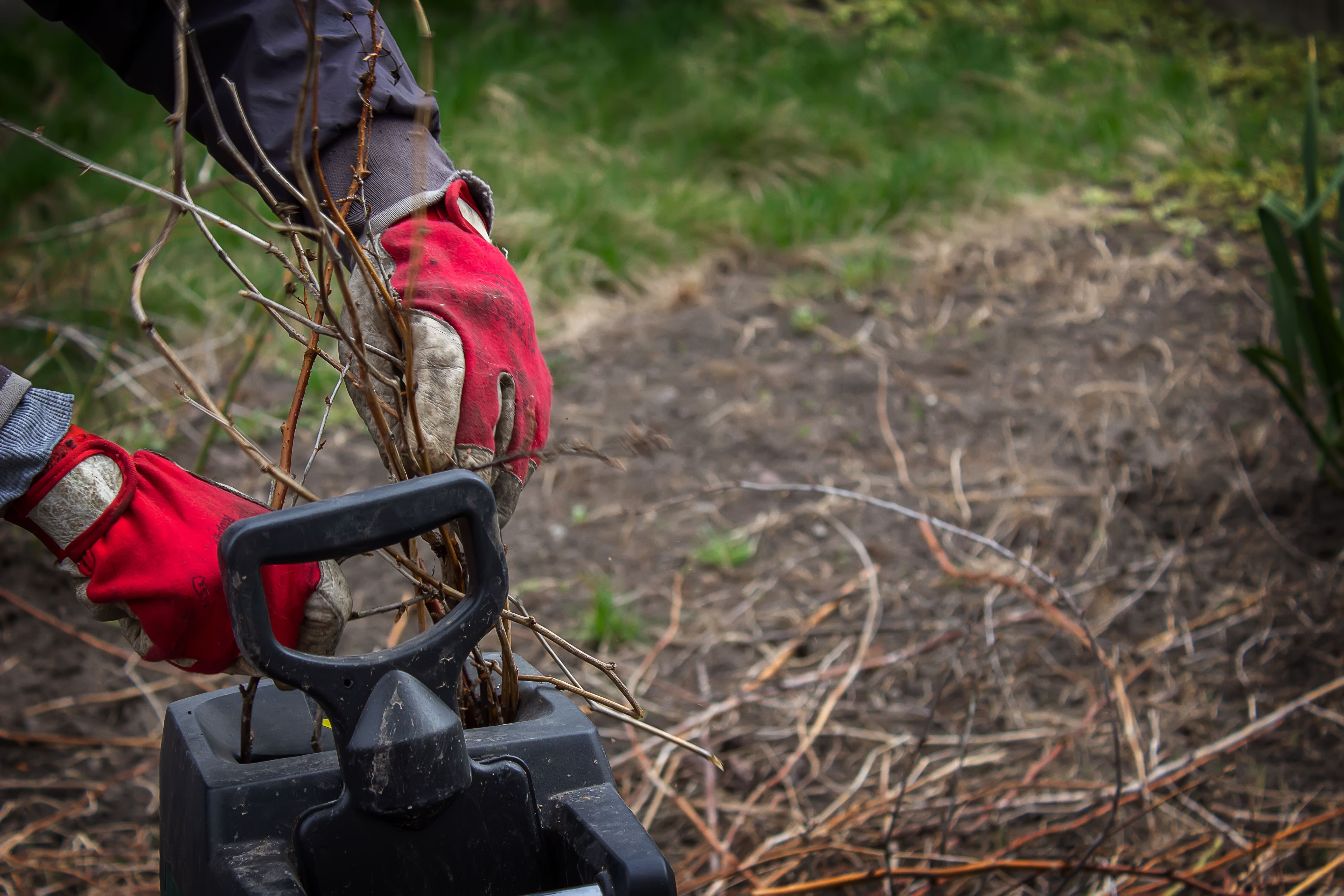 Man interrupts dry branches of a tree into tyrsa